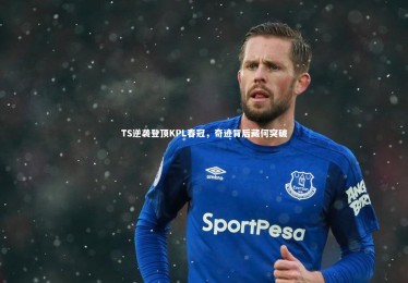 熊猫体育官网：TS逆袭登顶KPL春冠，奇迹背后藏何突破